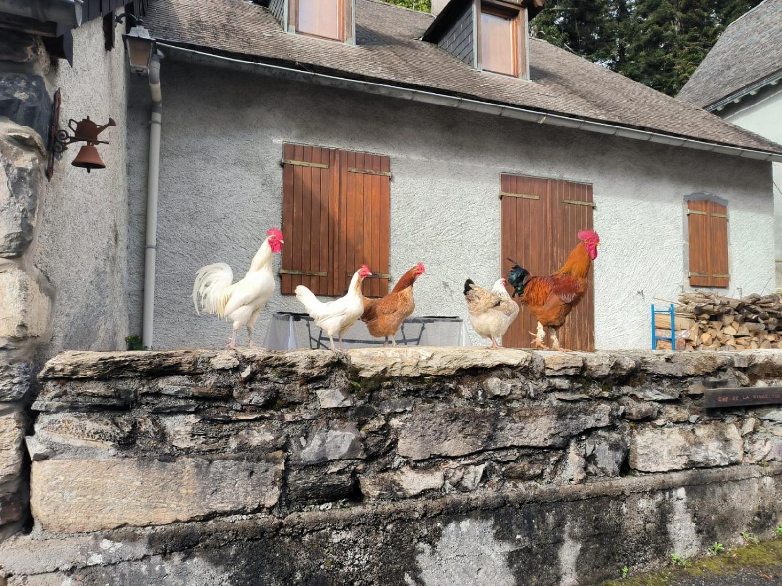 Chateau D'Arance Hotel Restaurant Espace Bien-Etre Cette-Eygun Exterior foto